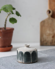 Load image into Gallery viewer, PAINTBRUSH LIDDED POT