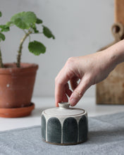 Load image into Gallery viewer, PAINTBRUSH LIDDED POT